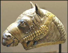 Sasanian Horse - 224CE
